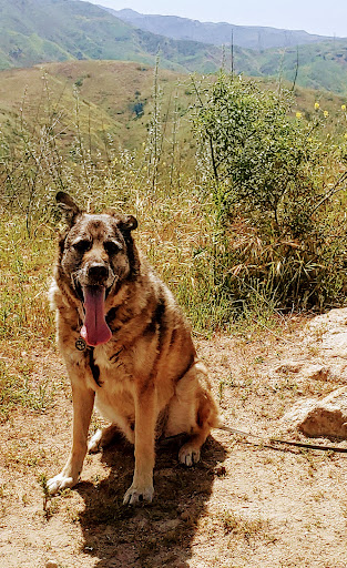 8285 E Santa Ana Canyon Rd, Anaheim, CA 92808, USA