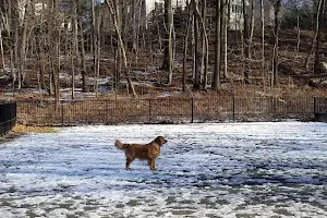 Van Saun Dog Park image