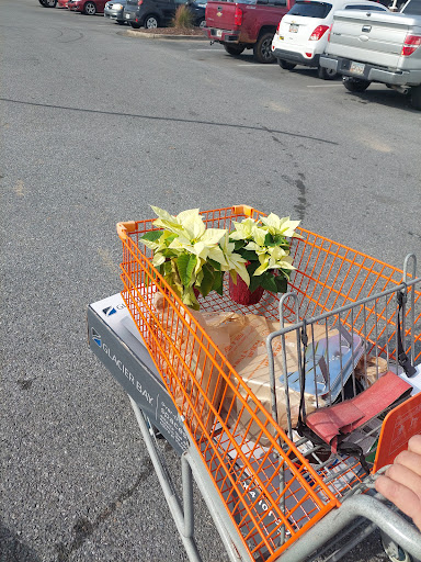 The Home Depot image 2