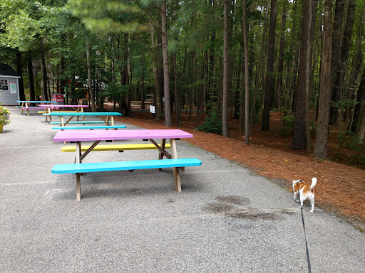 Art Center «Annmarie Sculpture Garden and Arts Center», reviews and photos, 13480 Dowell Rd, Dowell, MD 20629, USA