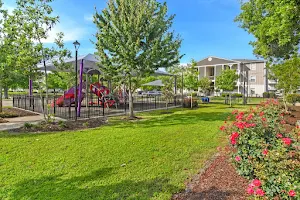 Reserve at Gulf Hills Apartment Homes image