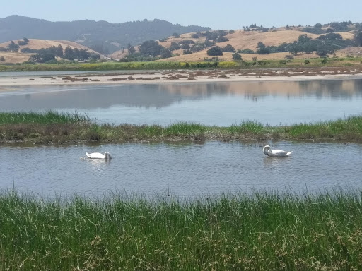 Sheraton Sonoma Wine Country Petaluma image