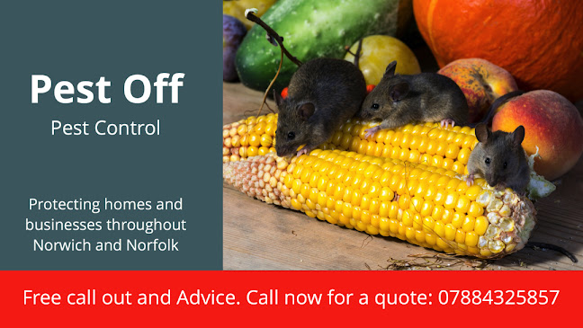 Pest Off - Pest Control - Norwich Open Times