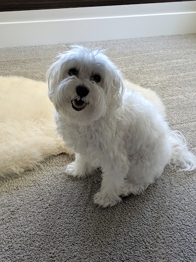 4935 Lakemont Blvd SE # B1, Bellevue, WA 98006, USA