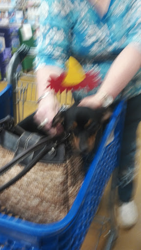 Pet Supply Store «PetSmart», reviews and photos, 2940 Chapel Hill Rd, Douglasville, GA 30135, USA