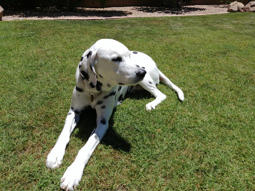 Shopping Mall «Desert Village Shopping Center», reviews and photos, 23359 N Pima Rd, Scottsdale, AZ 85255, USA