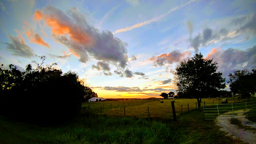 Produce Wholesaler «Goodson Farms Inc.», reviews and photos, 12405 Balm Rd, Balm, FL 33503, USA