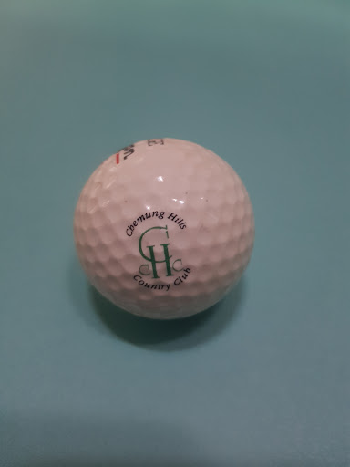 Golf Course «Chemung Hills Golf Club & Banquet Center», reviews and photos, 3125 Golf Club Rd, Howell, MI 48843, USA