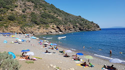 Ortano beach'in fotoğrafı ve yerleşim