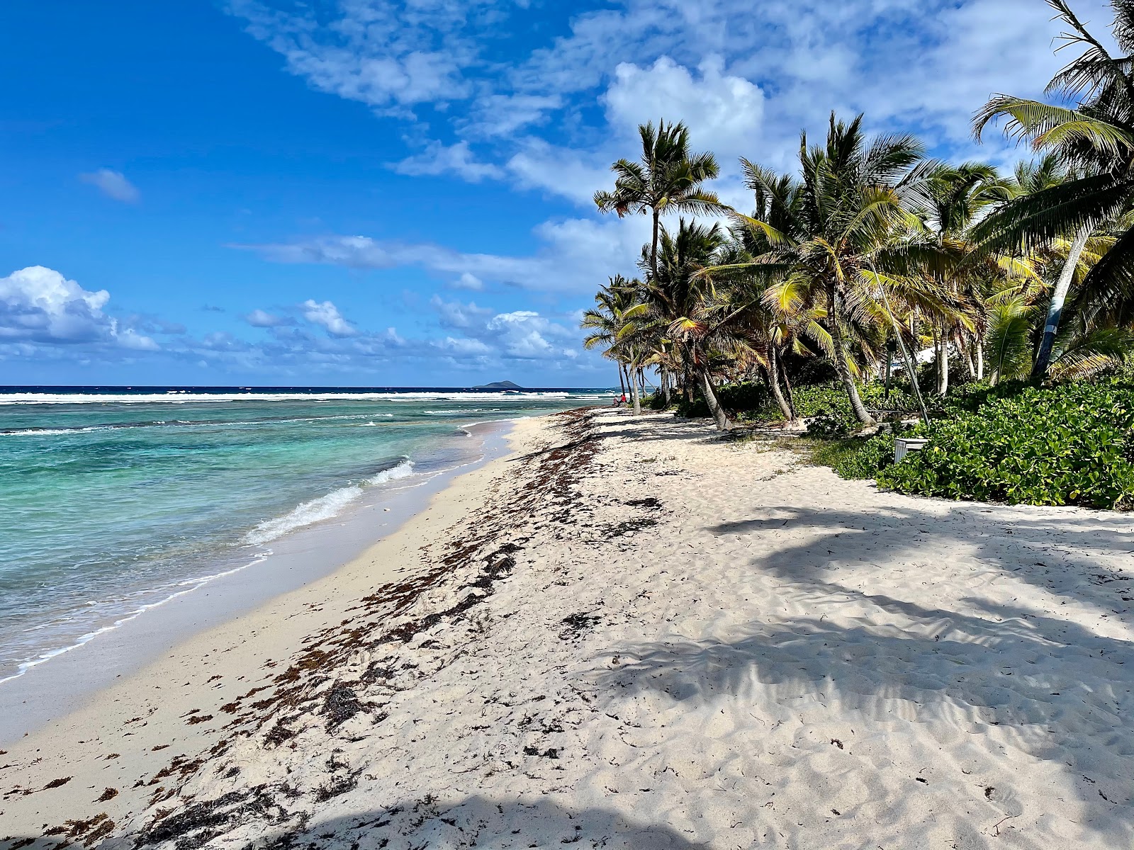 Pelican Cove beach photo #9