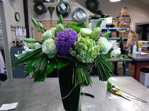 Florist «Alamo Plants & Petals», reviews and photos, 119 W Sunset Rd, San Antonio, TX 78209, USA