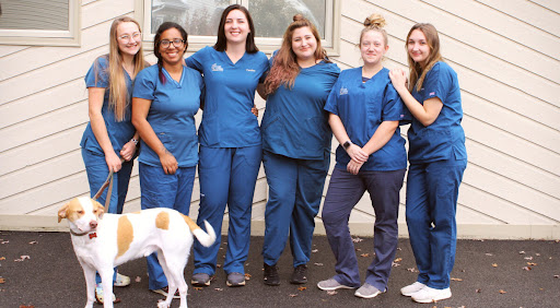 Cave Spring Veterinary Clinic image