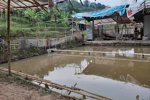 Kolam Pancing Pak Nana image