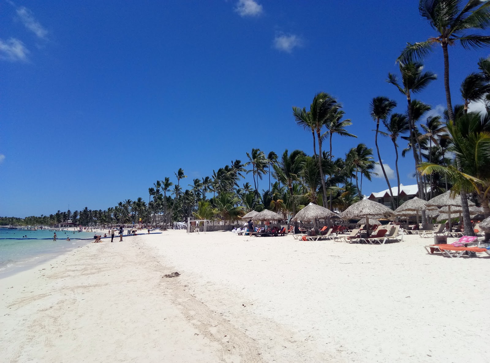 Foto di Spiaggia di Punta Cana con dritto e lungo