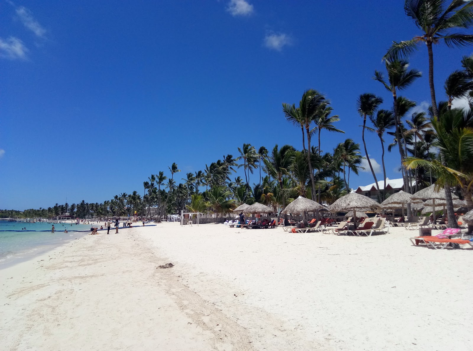 Foto von Punta Cana Strand mit sehr sauber Sauberkeitsgrad