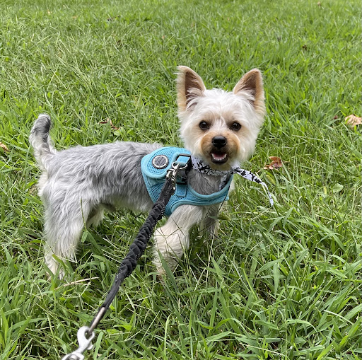 Pet Supply Store «Petco Animal Supplies», reviews and photos, 1215-1309 NJ-33 #1, Hamilton Township, NJ 08690, USA