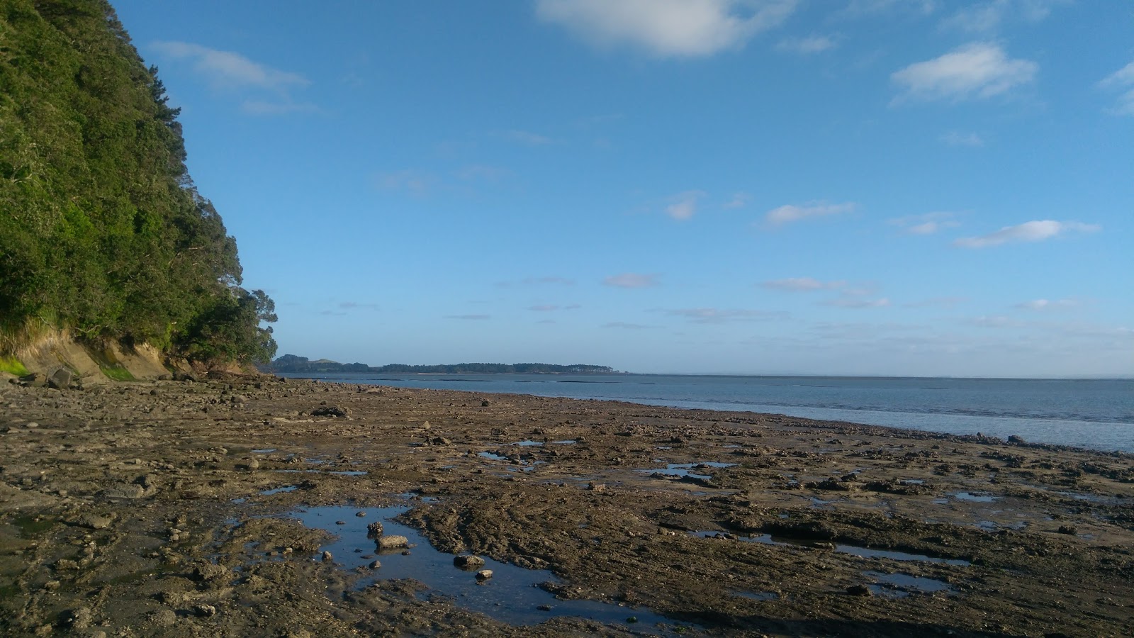Fotografija Manukau Beach divje območje
