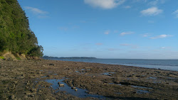 Zdjęcie Manukau Beach dziki obszar