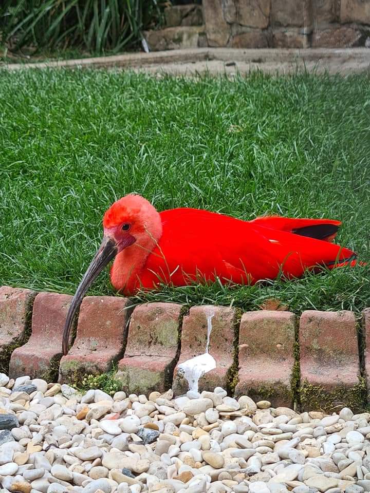 Photo n° 20 de l'avis de Maïté.e fait le 03/08/2022 à 19:24