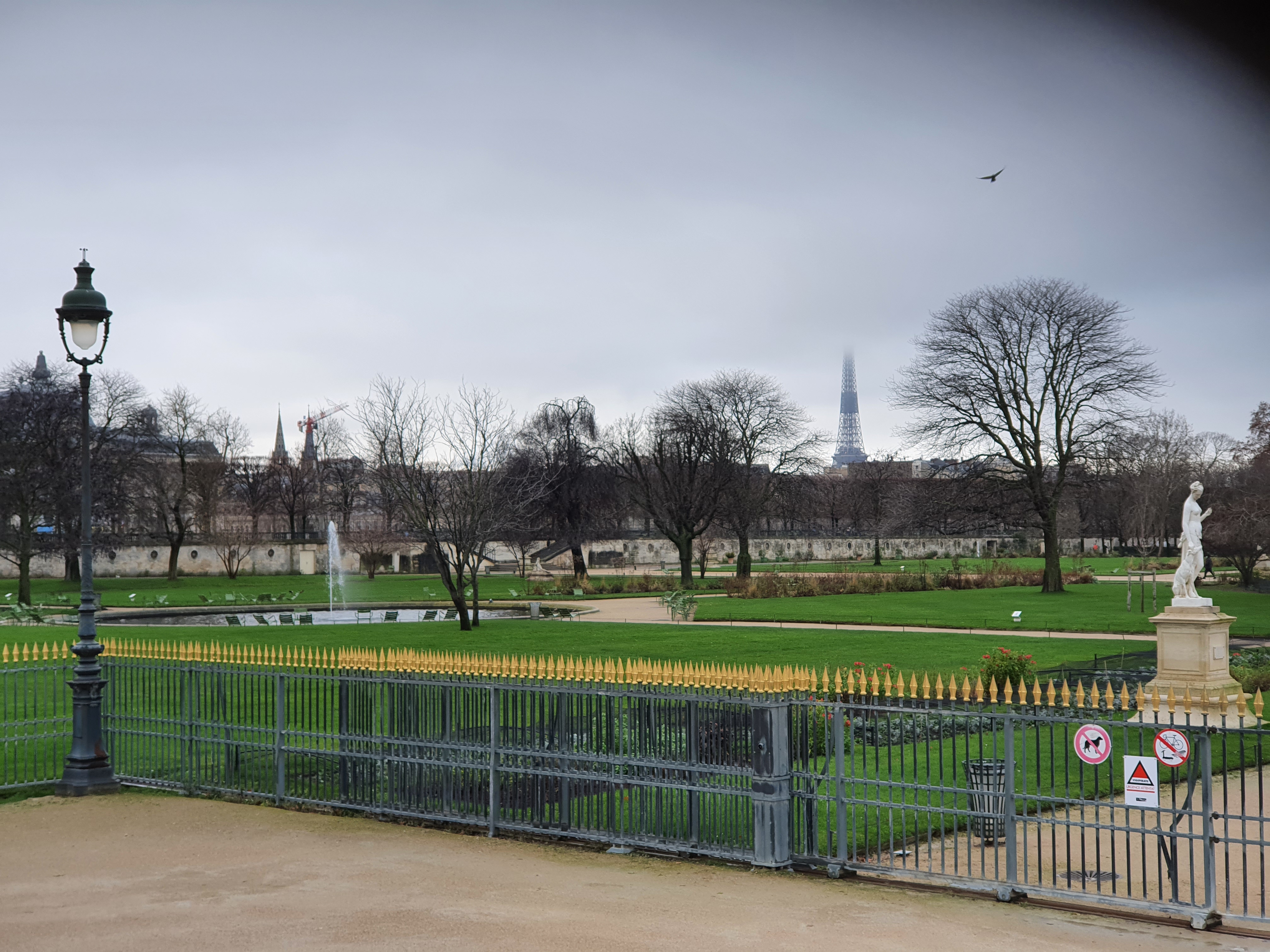 Photo n° 5 de l'avis de Labbe.e fait le 29/12/2020 à 14:07