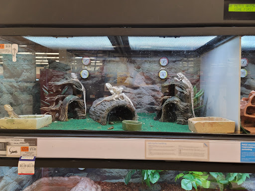 Pet Supply Store «Petco Animal Supplies», reviews and photos, 65 Taunton Depot Dr A, Taunton, MA 02780, USA