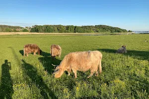 Välens Naturreservat image