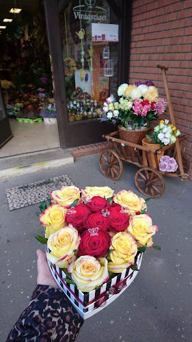 Értékelések erről a helyről: Virágsziget Virágbolt, Ajándékbolt, Dombóvár - Virágárus