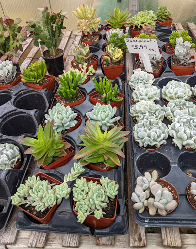 Wholesale Plant Nursery «Garden Fantasy», reviews and photos, 43250 Tyler Rd, Belleville, MI 48111, USA