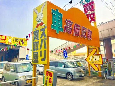 ハガリオート販売