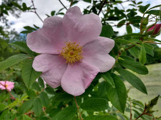 Casino «Hollywood Gaming at Dayton Raceway», reviews and photos, 777 Hollywood Blvd, Dayton, OH 45414, USA