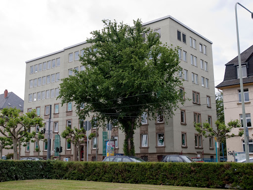 Abgestimmte Privatschulen Frankfurt