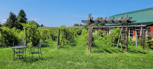 Wine Store «Lake Ontario Winery & Vineyards», reviews and photos, 1593 Hamlin Parma Townline Rd, Hilton, NY 14468, USA