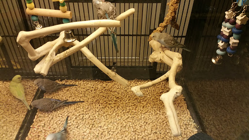 Pet Supply Store «PetSmart», reviews and photos, 24 Countryside Plaza, Countryside, IL 60525, USA