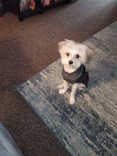 Pet Supply Store «Pet Supplies Plus», reviews and photos, 3040 Cromer Ave NW, Canton, OH 44709, USA