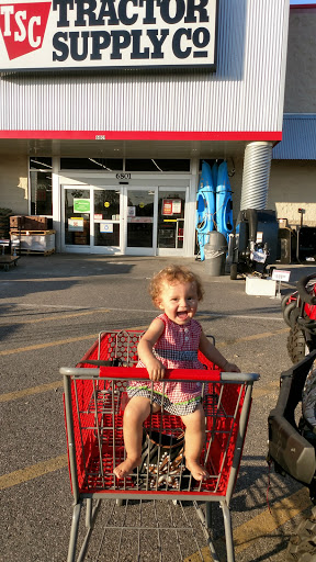 Home Improvement Store «Tractor Supply Co.», reviews and photos, 6801 Florida 50, Groveland, FL 34736, USA