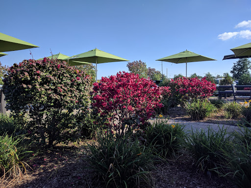 Sandwich Shop «Panera Bread», reviews and photos, 14121 Hall Rd, Shelby Charter Township, MI 48315, USA