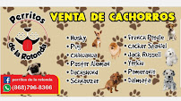 Perritos de la Rotonda - Photo 4 - Car repair in Matamoros, Tamaulipas, Mexico, Brownsville