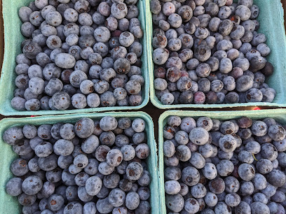 Pick Dee's Berries @ SkyDance Farm