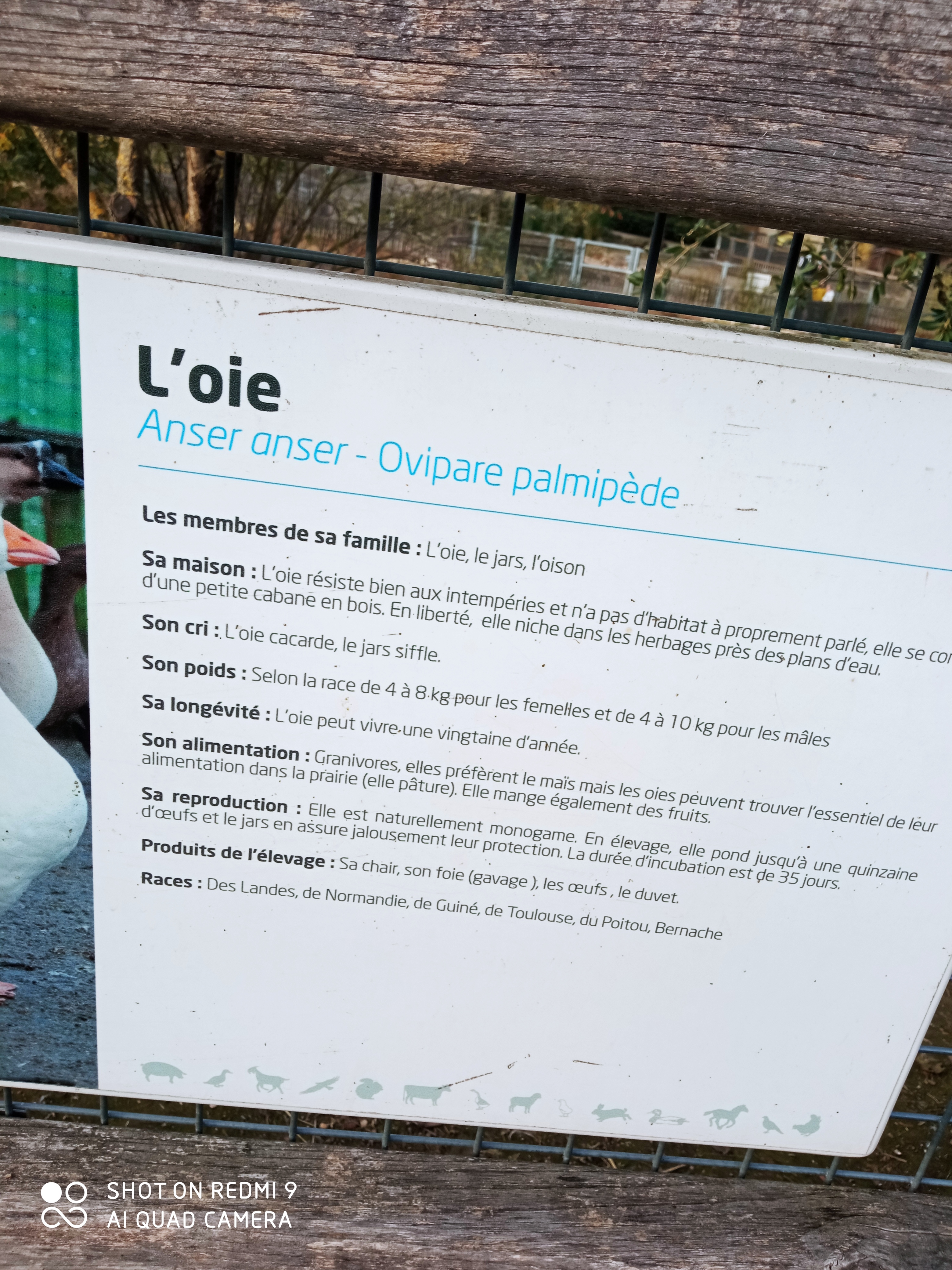 Photo n° 20 de l'avis de reseauoutremer.2 fait le 07/11/2020 à 18:39