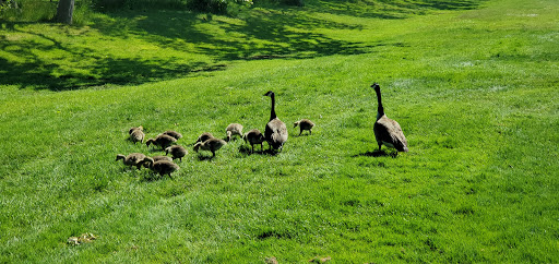 Golf Club «Bergen Point Golf Course», reviews and photos, 69 Bergen Ave, West Babylon, NY 11704, USA