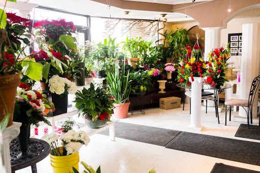 Florist «Athena Flowers», reviews and photos, 6039 W Addison St, Chicago, IL 60634, USA