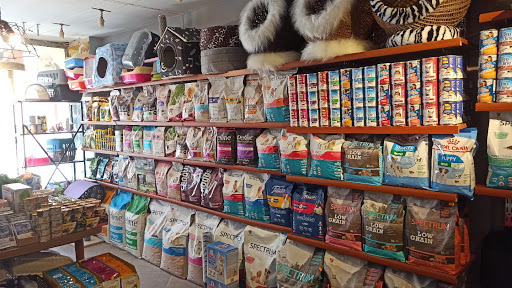 Hera Pet Shop | Söke Aydın - Evcil hayvan mağazası