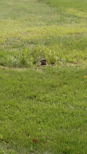 Golf Course «Teetering Rocks Golf Course», reviews and photos, 12040 E 86th St, Kansas City, MO 64138, USA