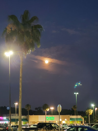 Discount Store «Walmart», reviews and photos, 11720 E Dr M.L.K. Jr Blvd, Seffner, FL 33584, USA