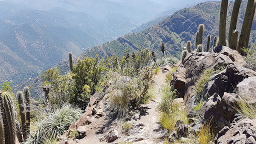 Cerro Pochoco
