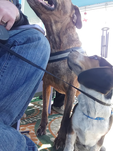 Explore emt tattoo ideas, creative tattoo ideas in East Brookfield, available at Port of Worcester Tattoo, E. Brookfield