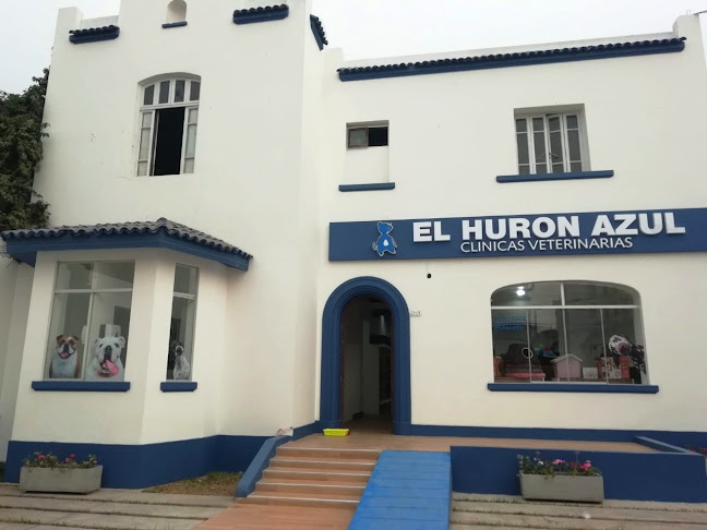 Opiniones de El Hurón Azul Clínica Veterinaria Sede Magdalena en Magdalena del Mar - Veterinario