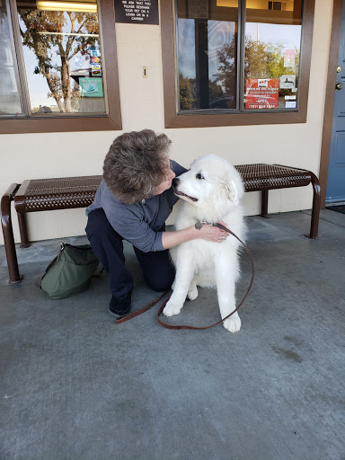 Redwood Veterinary Hospital image