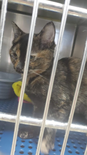 Pet Supply Store «Petsense Corinth», reviews and photos, 1663 Virginia Ln, Corinth, MS 38834, USA