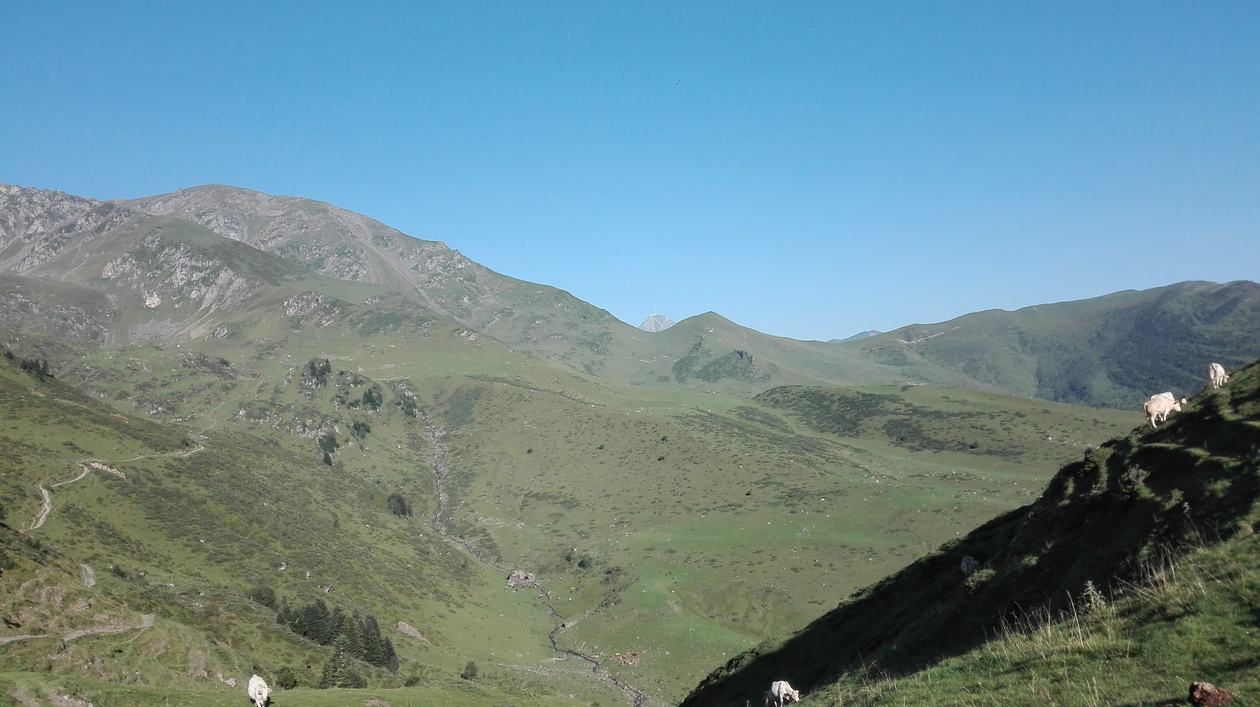 Photo n° 7 de l'avis de LOUIT.O fait le 11/08/2018 à 12:28